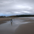 Person walking on a beach with a longboard, under a cloudy sky.