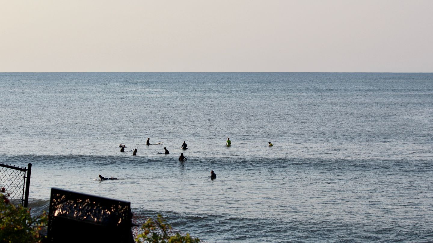 People swimming in a body of water with a fence and vegetation in the foreground.