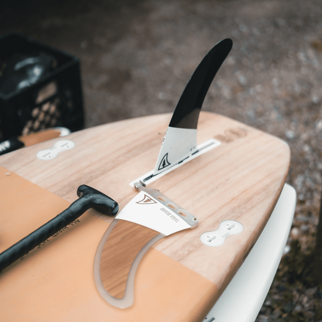 CENTRAL PLASTIC FIN - DOLPHIN 8.0'' - Taiga Board