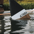 DIAMOND PADDLE - WOOD CARBON 12k - Fix 1 piece - Taiga Board