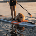 HYBRID PADDLE - Adjustable 2 or 3 pieces - Taiga Board